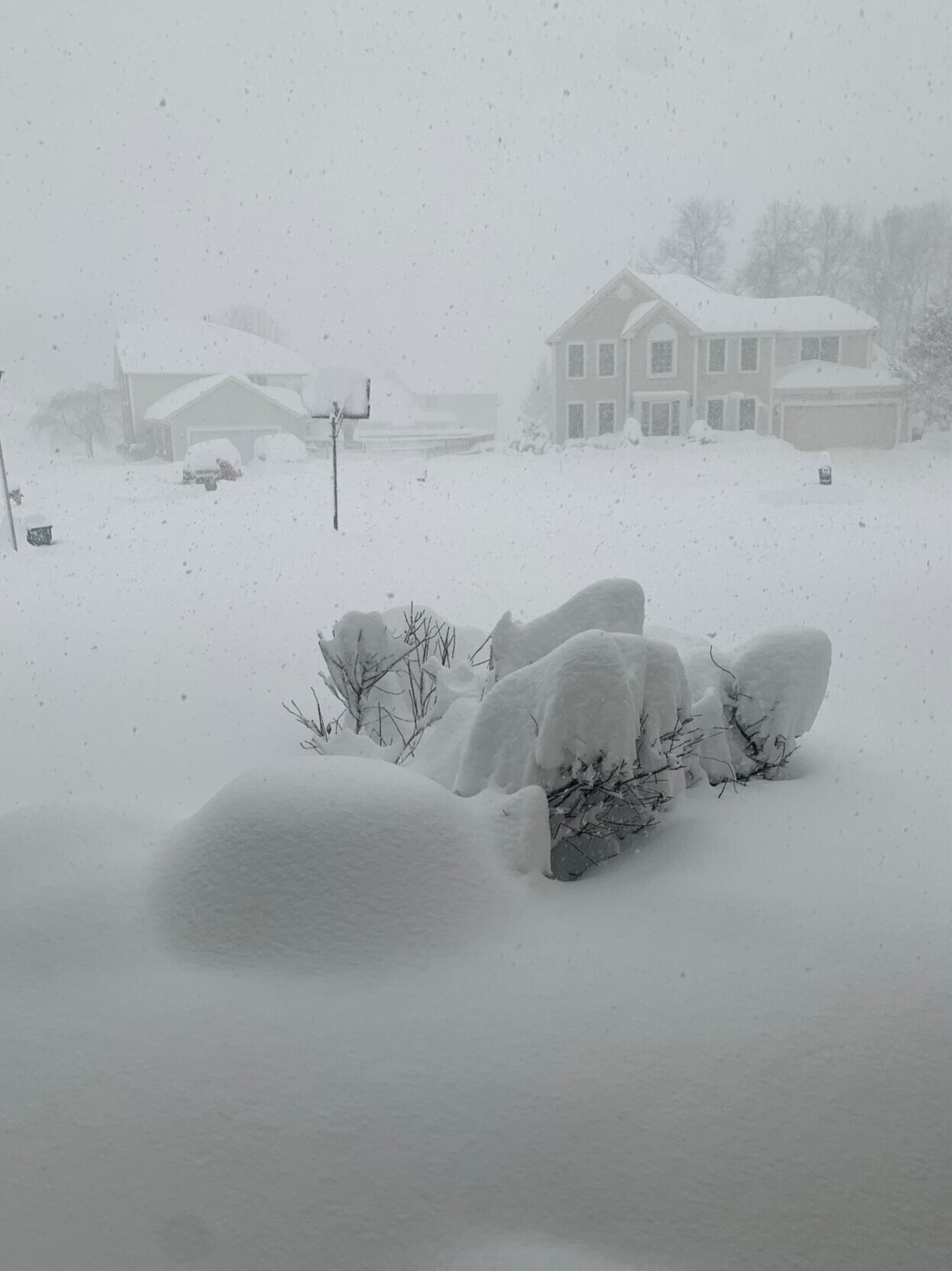 More snow